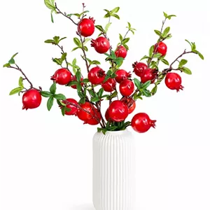 شاخه میوه انار