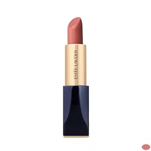 رژ لب جامد استی لادر Pure Color Envy Matte شماره 333 | رژ لب مات استی لادر