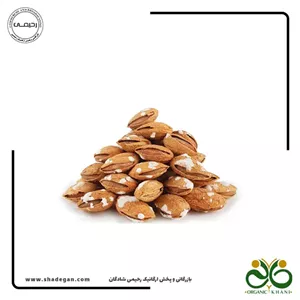 بادام درختی کاغذی شور