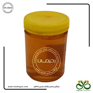 عسل جنگلی بدون موم طارم
