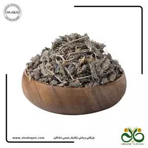 اسطوخودوس