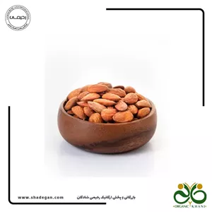 بادام درختی ایرانی خام