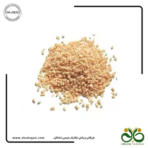 بلغور گندم
