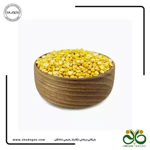لپه آذرشهر