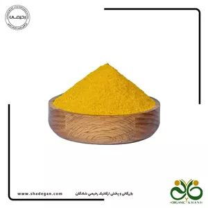پودر انبه