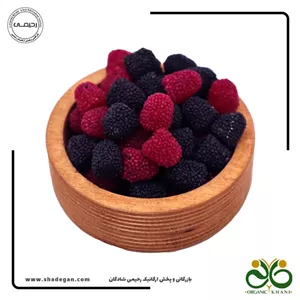 پاستیل تمشک