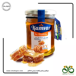 عسل طبیعی 280 گرم کامور