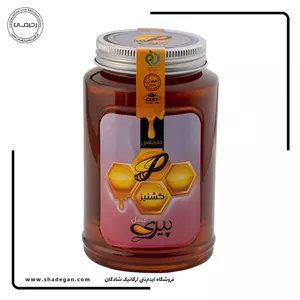 عسل گشنیز پیری 1000 گرم
