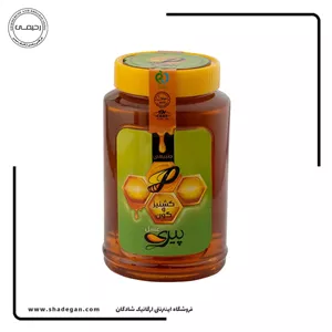 عسل گشنیز و گون پیری 1000 گرم