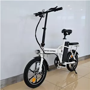 دوچرخه برقی تاشو دونفره ویندهورس مدل w2a