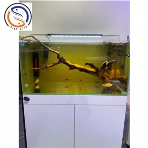 چوب DRIFTWOODکد102