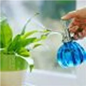 غذای رشد گیاه