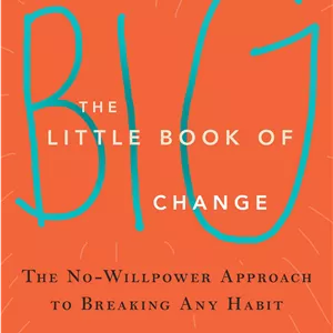 کتاب The Little Book of Big Change (کتاب کوچک تغییرات بزرگ) نسخه انگلیسی PDF | رویکردی بدون نیاز به اراده