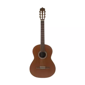 گیتار کلاسیک پارسی مدل M6