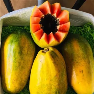 میوه پاپایا عالین هسته دار