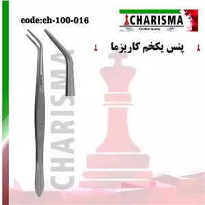 پنس یک خم کاریزما