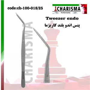 پنس اندو بلند کاریزما