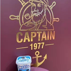 بیسکوییت ساندویچی شکلاتی با لایه وانیلی mico