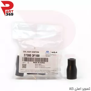 وایر شمع کوئل (سرکوئل ، بوت) هیوندا ، مناسب کوئل با شماره فنی 273003F100
