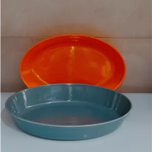 دیس مرغ شیک