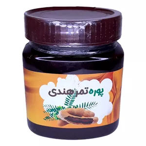 پوره تمر هندی غدیر (480 گرم)