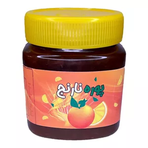 پوره نارنج غدیر (480 گرم)