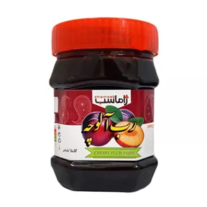 رب آلوچه ژاماسب (450 گرم)