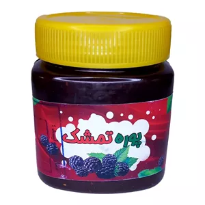 پوره تمشک غدیر (480 گرم)