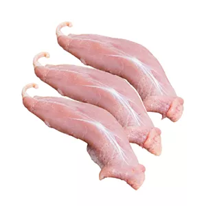 فیله بوقلمون 5 کیلوگرم