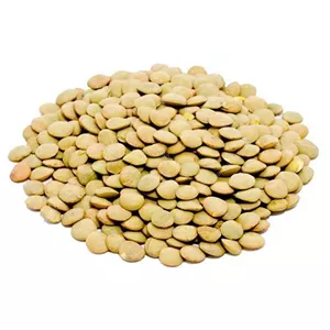 عدس 900 گرم