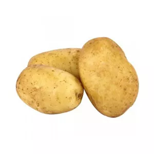 سیب زمینی درشت دستچین 5 کیلوگرم