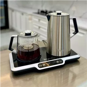چایساز روگن مدل 1525