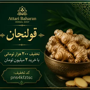 *قولنجان اعلا | ریشه گرم، معطر و درمانی (مشابه زنجبیل اما قوی‌تر)۱کیلویی