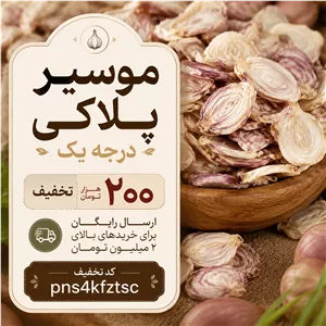 موسیر پلاکی (۱۰کیلویی)ارسال رایگان و تخفیف ۲۰۰هزارتومانی