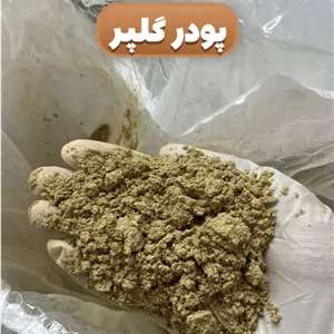 پودر گلپر افغانی اعلا | گلپر تازه آسیاب شده(۲۰کیلویی)پسکرایه