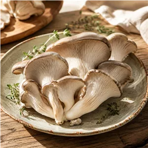 قارچ صدفی |  Oyster Mushroom