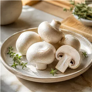 قارچ دکمه ای | Button Mushroom