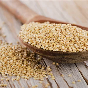 خرید دانه کینوا گلستانیک | کینوا اصل رژیمی و سالم