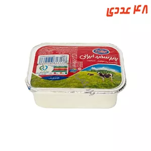 پنیر سفید 100 گرم میهن ( 48 عددی )