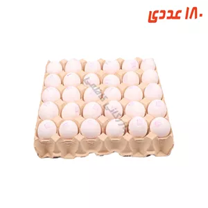 تخم مرغ زده معمولی 180 عددی