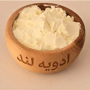 شیر خشک شور