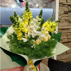 دسته گل میمونی - اصفهان
