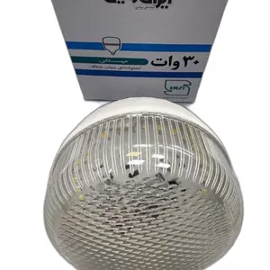لامپ LED شفاف ۳۰وات ایران زمین