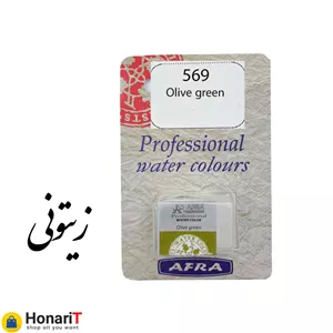 قرص آبرنگ افرا مدل professional رنگ زیتونی