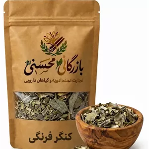 کنگر فرنگی