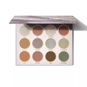 پالت سایه 12 رنگ شیگلم مدل Mauve-olous
