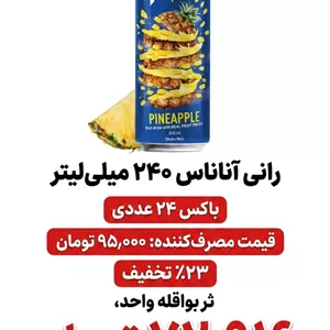 رانی آناناس 240 میل باکس 24 عددی