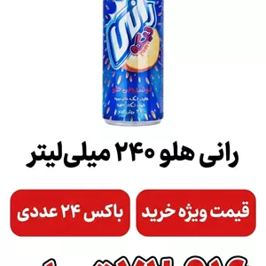 رانی هلو 240 میل باکس 24 عددی
