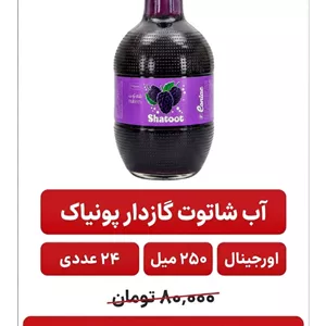 آب شاتوت گازدار شیشه‌ای پونیاک -24عددی