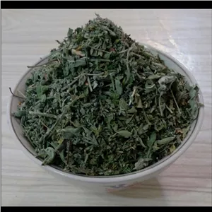 سبزی گشنیز خشک شده